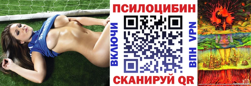 как найти наркотики  Изобильный  Псилоцибиновые грибы прущие грибы 